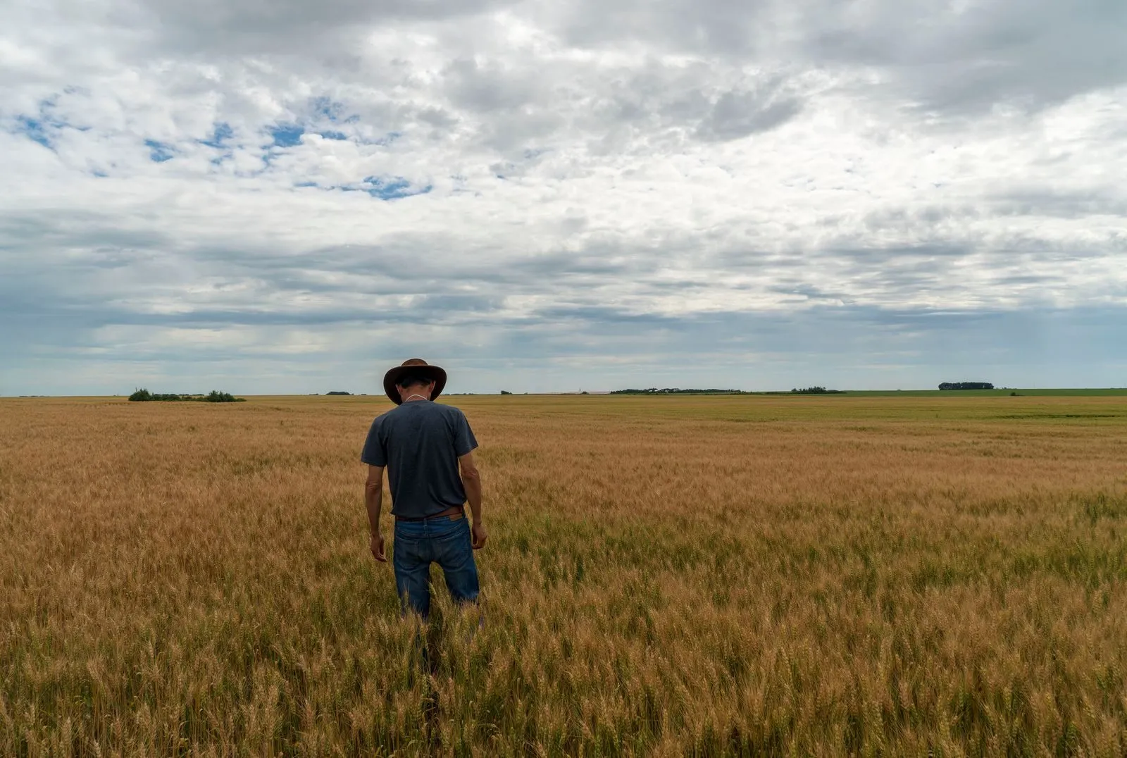 A farmer walking through a wheat field under a big sky